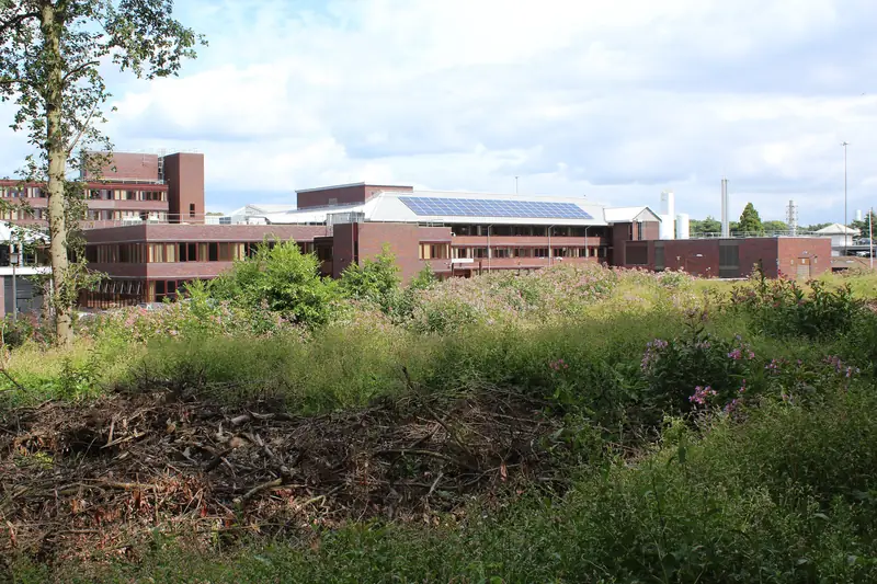 Low red-brick office buildings of the Office for National Statistics in Newport, seen across wild grass and shrubs